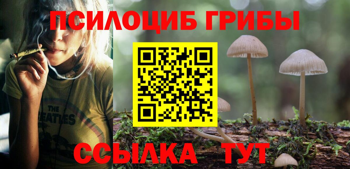 наркошоп  Псилоцибиновые грибы Cubensis  Вход с VPN  Галлюциногенные грибы MAGIC MUSHROOMS  Вязники 