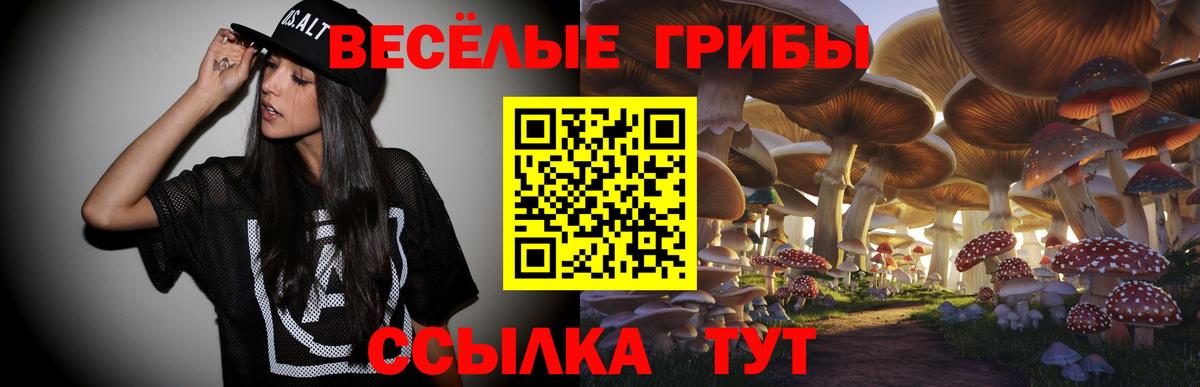 Псилоцибиновые грибы ЛСД Вязники