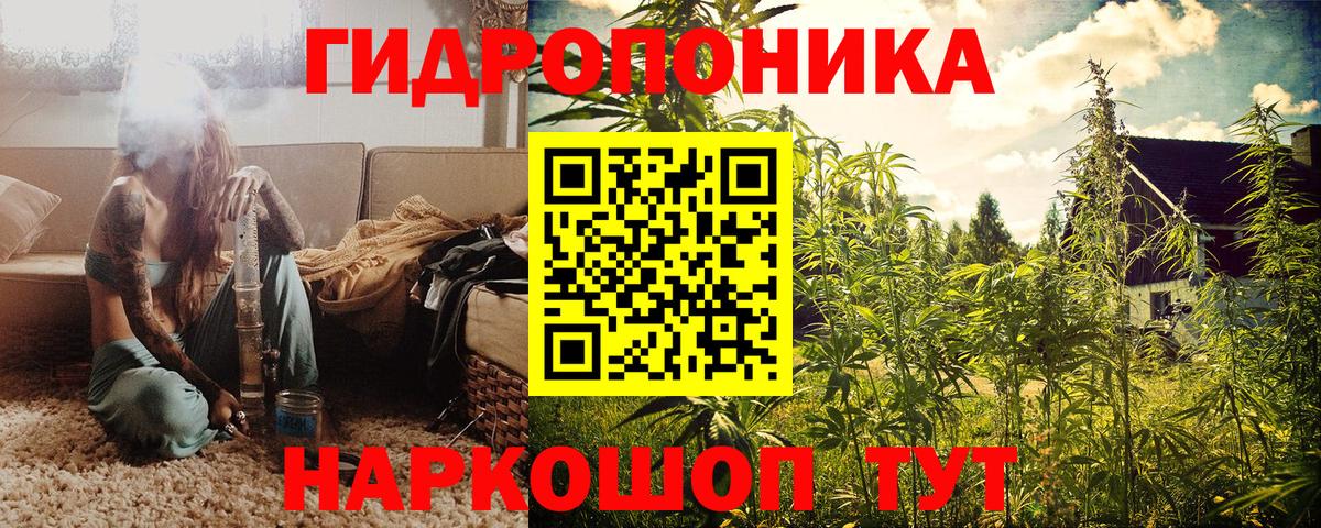 Шишки марихуана планчик Вязники